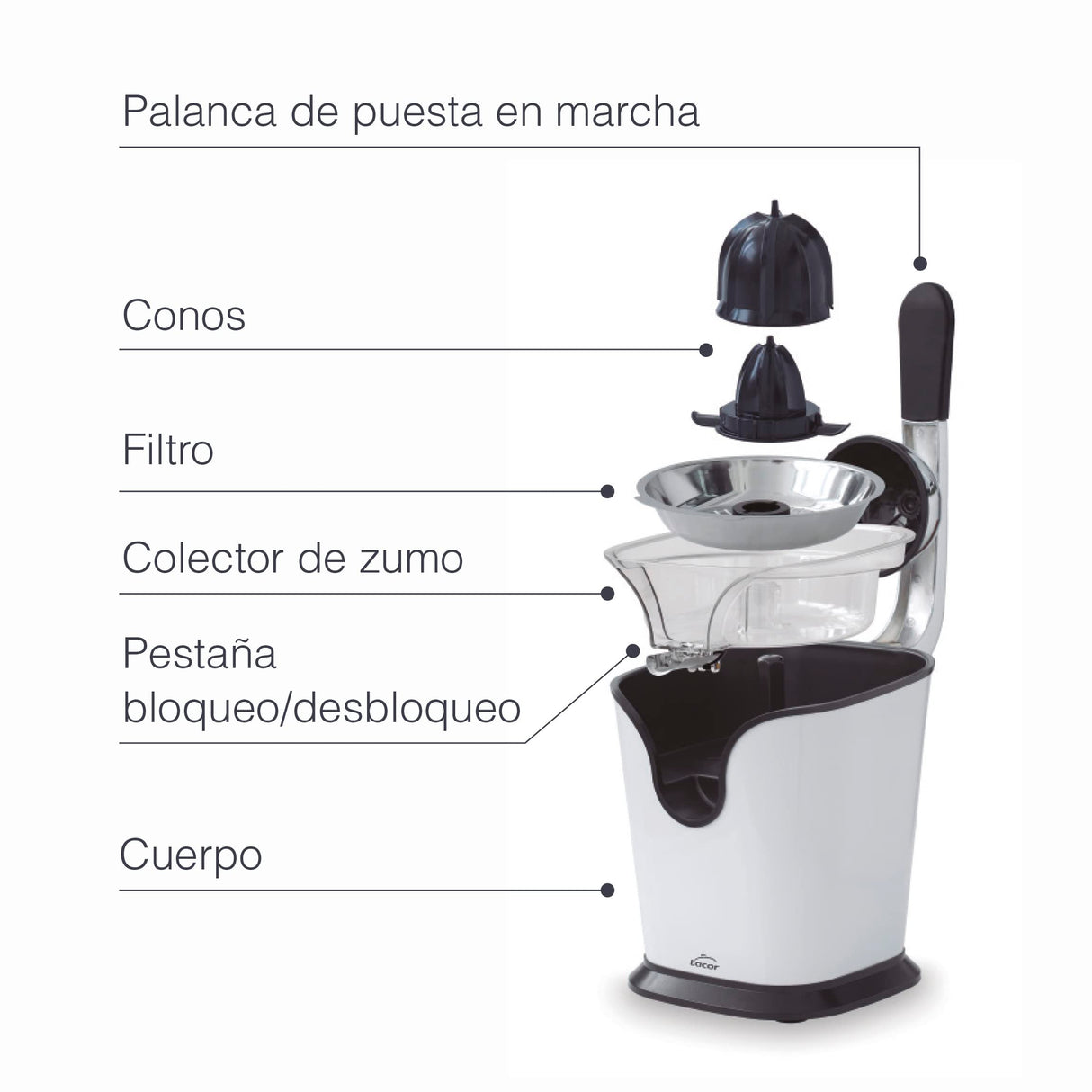 Lacor - 69231 - Exprimidor de Palanca VITALLY WHITE, Exprimidor Manual, Sistema Antigoteo, Acero Inoxidable 18/10, Palanca Ergonómica, 19,5x29x29 cm