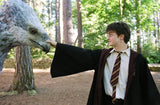 Pack Harry Potter Colección Completa [DVD]