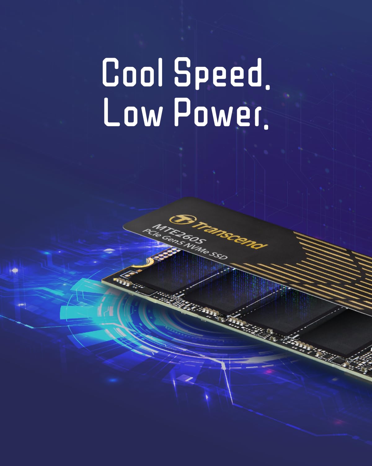 Transcend NVMe PCIe Gen5 x4 MTE260SM.2 SSD Solid State Drive TS2TMTE260S