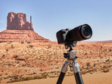 Rollei Trípode de Carbono Lion Rock Pro con Cabezal de trípode – Ultraligero, Alta Capacidad de Carga 20 kg, Altura Ajustable hasta 147,5 cm, tamaño Compacto del Paquete, Puntas Intercambiables para