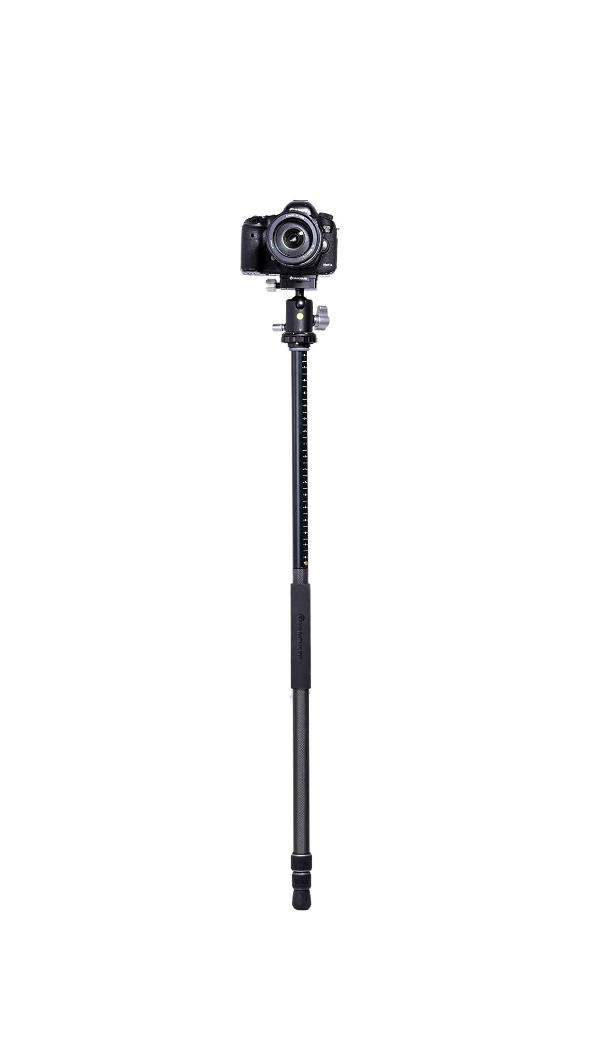 Vanguard Veo 3+ 263CB - Trípode Fibra Carbono multiángulo rótula Bola