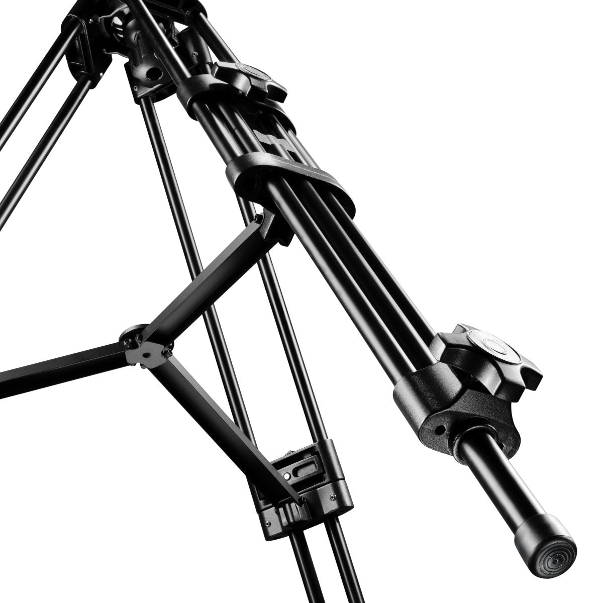 Walimex Pro Director Pro II - Pack de Accesorios para fotografía
