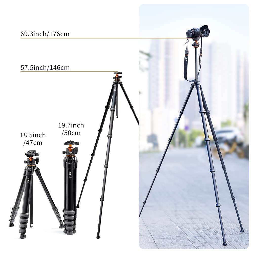 K&F Concept Trípode de Cámara, 177CM Trípode Estable Aluminio con 35mm Rótula de Bola Carga Máxima 15kg, Trípodes Fotografía Compacto con 1/4" Placa de Liberación Rápida para Cámara DSLR, Videocámara