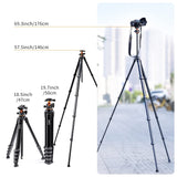 K&F Concept Trípode de Cámara, 177CM Trípode Estable Aluminio con 35mm Rótula de Bola Carga Máxima 15kg, Trípodes Fotografía Compacto con 1/4" Placa de Liberación Rápida para Cámara DSLR, Videocámara