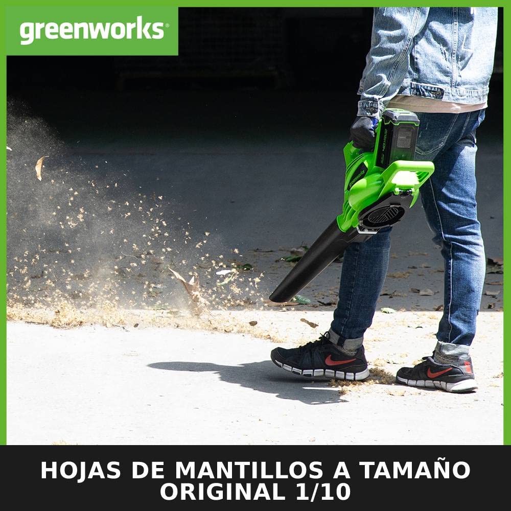 Greenworks GD40BVK2X Soplador Aspirador de Hojas a Batería con Motor sin Escobillas, 280 km/h, 9,63 m³/min, Bolsa Recogedora de 45L, Dos de las Baterías de 40V 2Ah y Cargador, Garantía de 3 Años