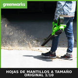 Greenworks GD40BVK2X Soplador Aspirador de Hojas a Batería con Motor sin Escobillas, 280 km/h, 9,63 m³/min, Bolsa Recogedora de 45L, Dos de las Baterías de 40V 2Ah y Cargador, Garantía de 3 Años