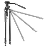 Vanguard Alta Pro 3VRL 303AV20 - Trípode con rótula de vídeo de Aluminio