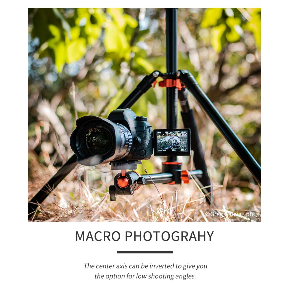 K&F CONCEPT 240cm Trípode de Cámara, Trípode Video Profesional con Columna Central Transversal con Rótula de Bola Panorámica y Placa de Liberación para DSLR Cámara T254A8+BH-28L(SA254T1)