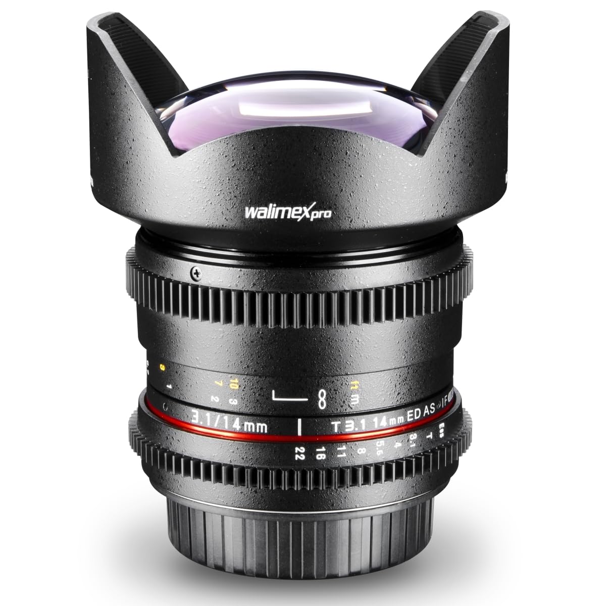 Walimex Pro - Objetivo con Parasol (14 mm, 1:3,1) para Montura de cámaras réflex Nikon