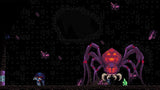 Chronicles of 2 Heroes: Amaterasu's Wrath - Collector's Edition