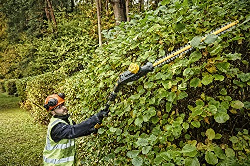 DEWALT DCMPH566P1-QW - Cortasetos de pértiga XR 18V 55cm 25mm con 1 batería Li-Ion 5,0 Ah
