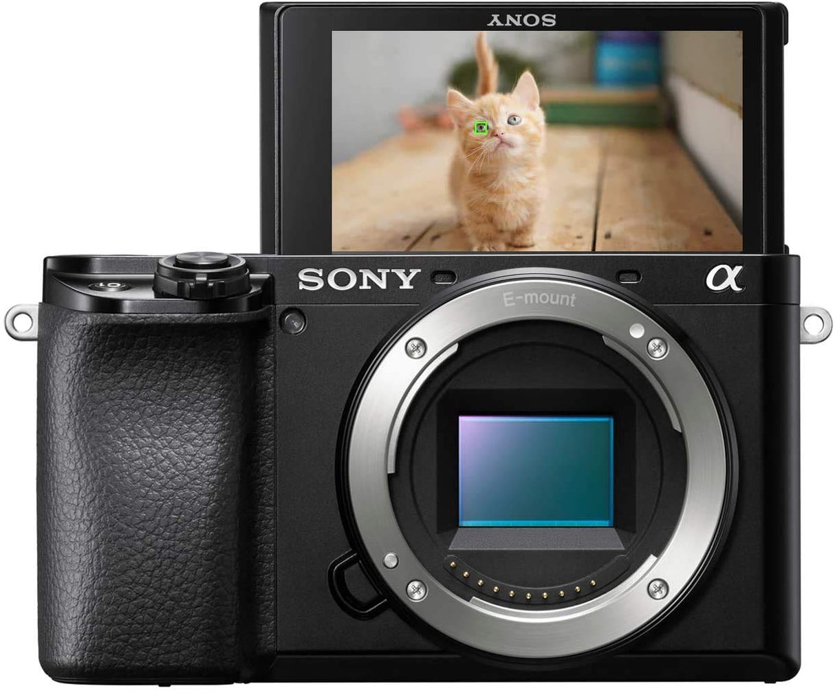 Sony Alpha 6100 - Cámara Evil APS-C (Enfoque automático rápido 0.02s, Eye AF para Personas y Animales, grabación de vídeos en 4K y Pantalla inclinable)