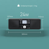 Panasonic SC-DM202EG-K Sistema Estéreo Micro Hi-Fi Compacto con CD, Radio Dab+/FM, USB y Bluetooth, Altavoces de 24 W, Control Remoto, Pantalla LCD TFT de 2,4", Ajustes de Ecualización, Negro.