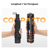 K&F CONCEPT Trípode de Cámara Carbono de Viaje Ligero, Trípode Fotografía Compacto con Monopié, 360° Rótula de Bola y Placa de Liberación para Cámara DSLR A225C0+BH-25L