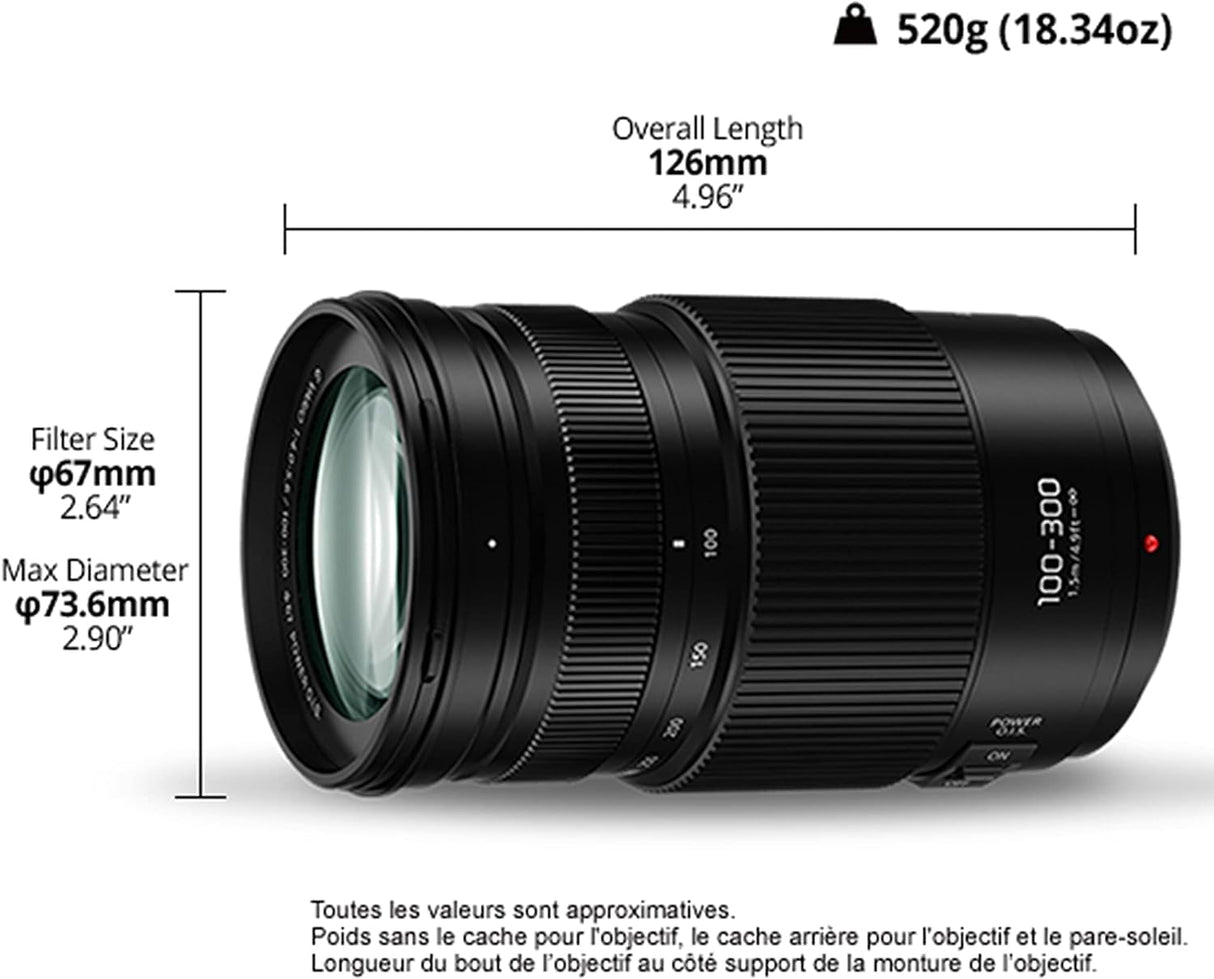 Panasonic LUMIX H-FSA100300 II - Objetivo Tele Zoom para cámaras de montura M4/3 (Focal 100-300 mm, F4-F5.6, tamaño filtro 67 mm, POWER O.I.S), negro