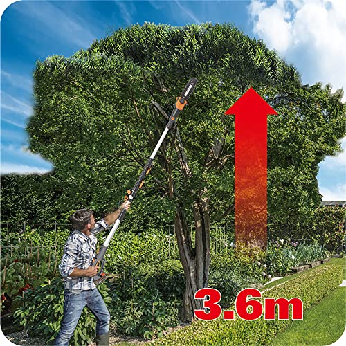WORX WG349E Sierra de Cadena, Color Negro, 20 cm