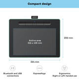 Wacom Intuos M - Tableta Gráfica Bluetooth para pintar, dibujar y editar photos con 3 softwares creativos incluidos para descargar, Windows & Mac, óptima para oficina en casa y e-learning, pistacho