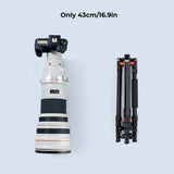 K&F Concept Trípode Cámara,198cm Trípode de Viaje Aluminio,Trípode Compacto con Monopie,Trípode Fotografía Professional con 360° Rótula de Bola y Placa de Liberación para Cámara DSLR Canon Nikon Sony