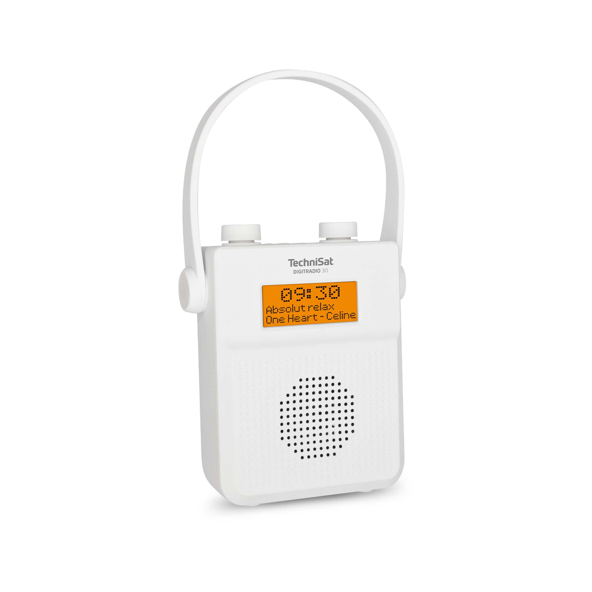 TechniSat DIGITRADIO 30 - Radio de Ducha Impermeable Dab+ (FM, Radio Digital Dab, batería integrada, Bluetooth, Resistente al Agua IPX5, Despertador, Memoria Favorita, Conector para Auriculares)