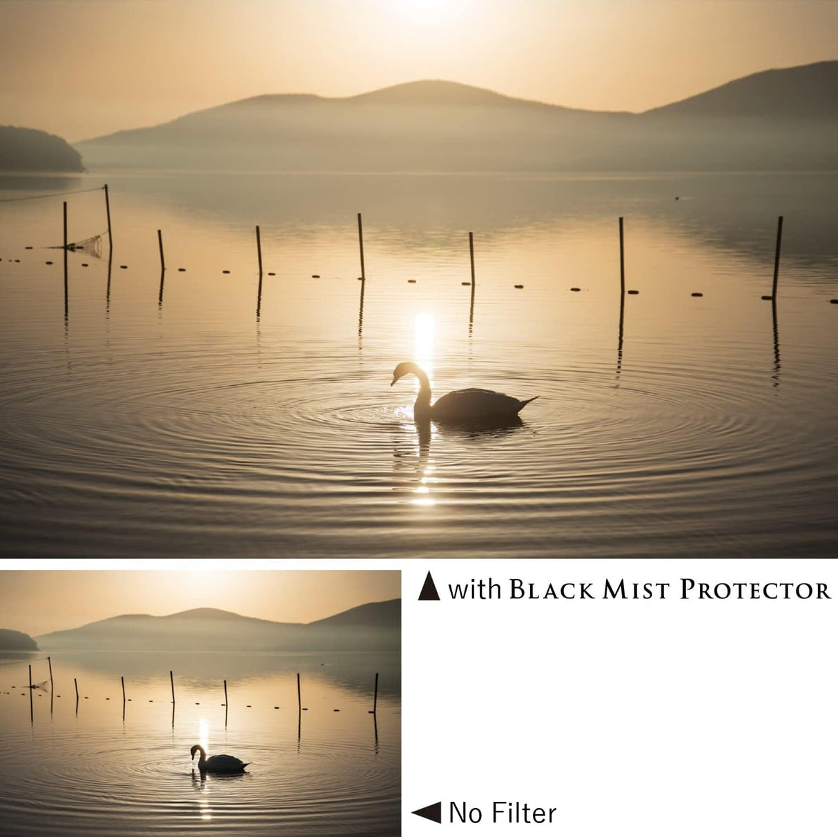Kenko Protector de Lente y Filtro de Efecto Suave, 82 mm, Multicapa, 0,25 Efecto Suave, como una Escena de una película, Fabricado en Japón
