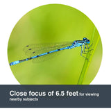 Celestron 71404 TrailSeeker 8x42mm Binoculares de Techo con Lente con Recubrimiento dieléctrico, Prisma BaK-4, Cuerpo Ligero de aleación de magnesio y Funda de Transporte Blanda, Negros