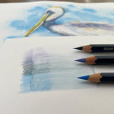 DERWENT Lápices Derwent Solubles en Agua, Para Pintar y Dibujar, Set de 48 en Caja de Madera de Regalo, Ideal para Matizar y Crear Capas, Calidad Profesional, 0700758