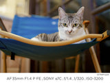 Samyang AF 35 mm F1.4 P FE Sony E