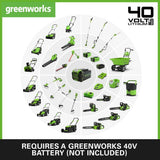 Greenworks Cortacésped de Batería Escarificador Rastrillo a Motor sin Escobillas 3100 RPM, Ancho 38cm, 5 Profundidades, Caja Recolección 45 L SIN Batería 40V y Cargador, Garantía 3 Años GD40SC38II
