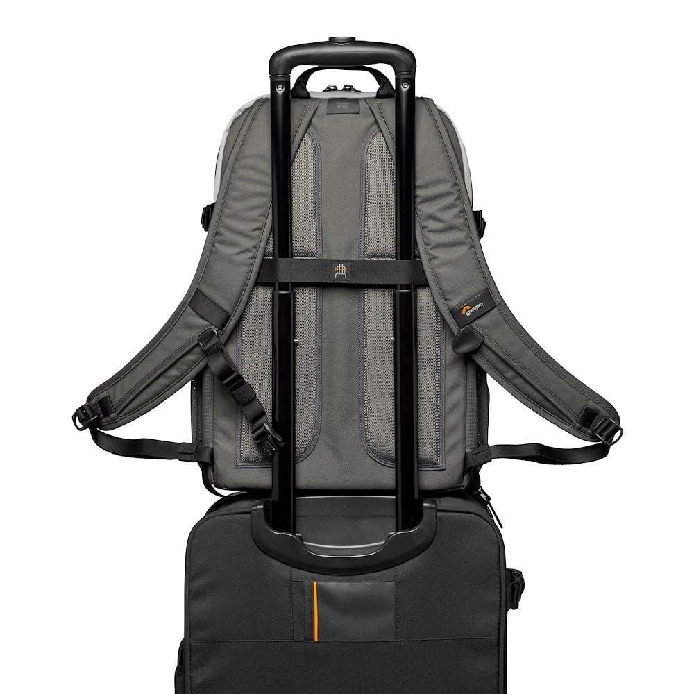 Lowepro LP37238-PWW - Mochila para cámara Ext. Truckee BP 250 LX, para Tablet 15", DSLR compacta/cámara sin espejo, Sony, Canon, Nikon, 1-2 objetivos, Gimbal, Dron, DJI, Osmo, Mavic, gris claro