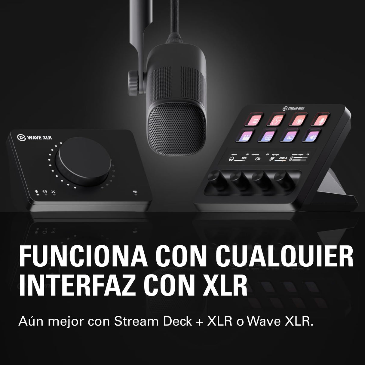 Elgato Wave DX - Micrófono XLR dinámico, patrón cardioide, reducción de Ruido, optimizado para Voz para podcasts, Streaming y retransmisiones, sin Amplificador de señal, para Mac y PC
