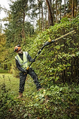 DEWALT DCMPH566P1-QW - Cortasetos de pértiga XR 18V 55cm 25mm con 1 batería Li-Ion 5,0 Ah