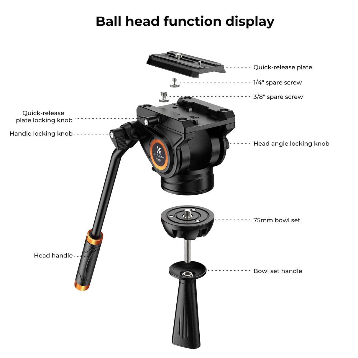 K&F CONCEPT Trípode de Video,184cm con 360° Cabezal Fluido, Trípode Profesional de Aluminio con Placa de Liberación Rápida para DSLR,Videocámara,Cámaras, Carga Máxima 8KG