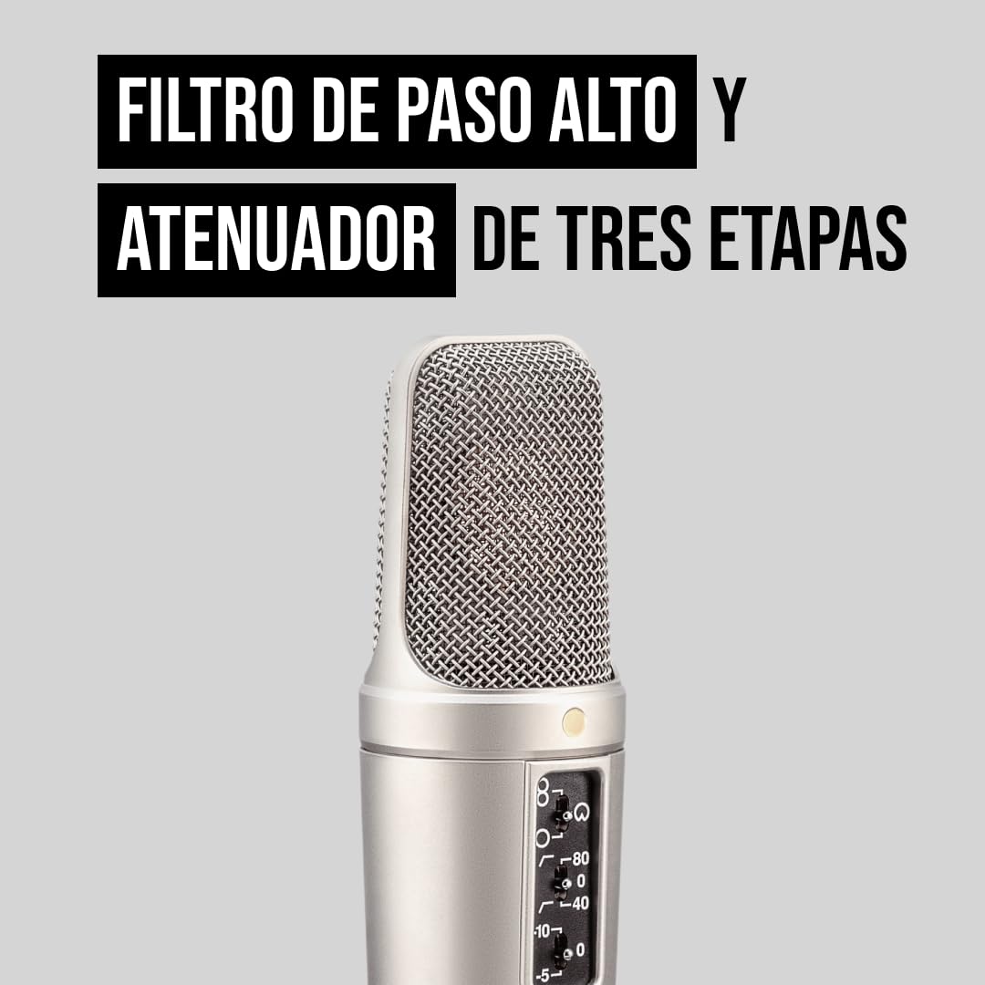 RØDE NT2-A Micrófono de condensador cardioide de gran diafragma versátil RØDE NT2-A con patrón polar conmutable, atenuador y filtro paso alto para grabación de voces e instrumentos
