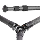 Leofoto - Ranger - Trípode de Carbono con Cabeza de Bola - Ligero - Patas Ajustables en 3 ángulos - Ideal para fotografía Macro - LS-253CM+LH-30