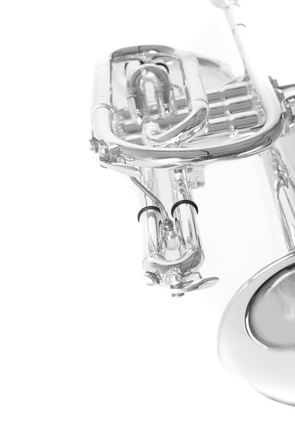 Roy Benson Bb-Cornet CR-302S (corneta profesional con diámetro ML, campana de latón de 119 mm, tudel de latón dorado, correderas exteriores de alpaca y válvulas de acero inoxidable), plateado