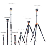 K&F CONCEPT Trípode Cámara Carbono 172CM Trípode Ligero Fotografía Professional de Viaje 360° Rótula de Bola y Placa de Liberación para Cámara DSLR (1.32KG)