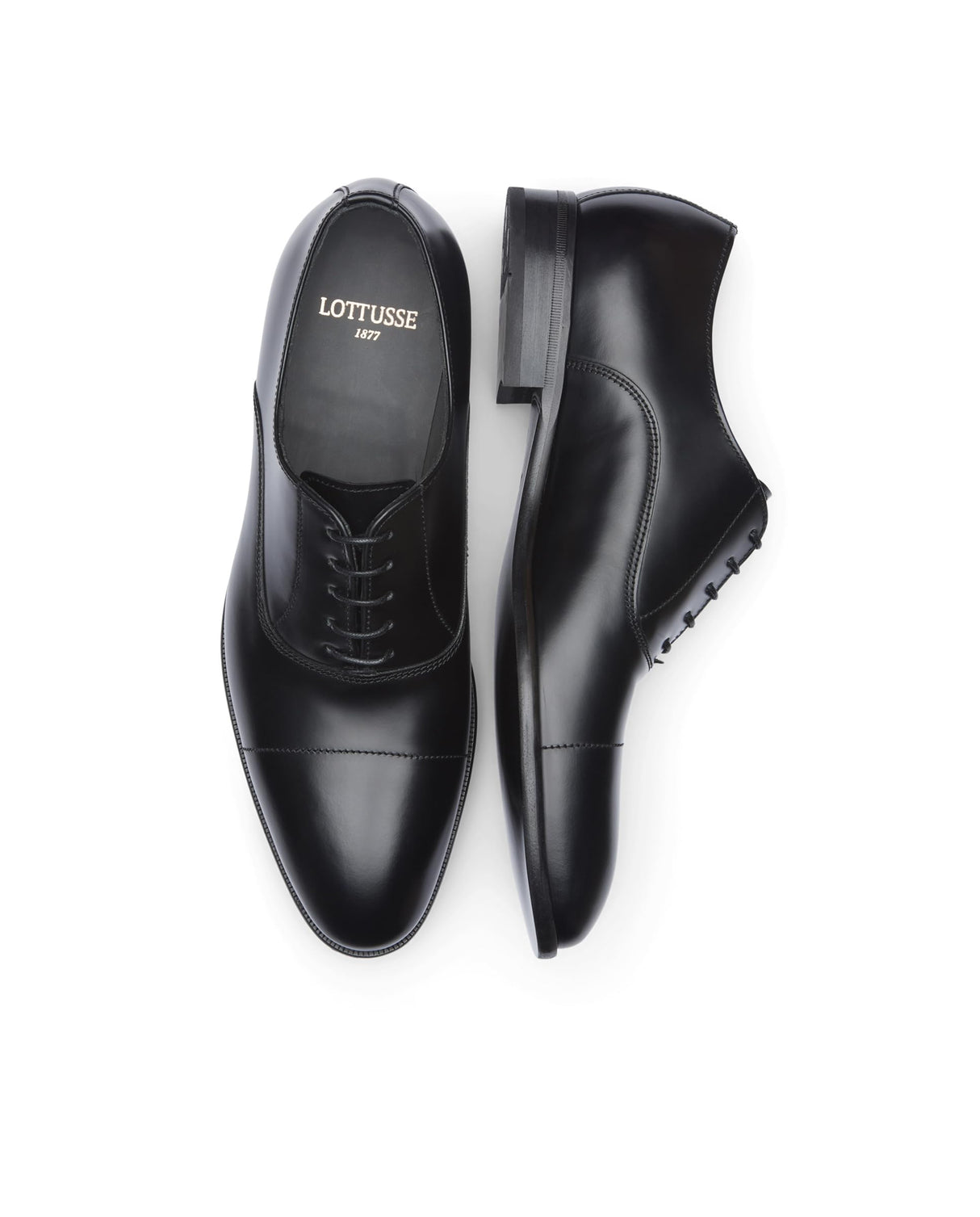Lottusse Oxford Negros De Vacuno Semi-Brillante