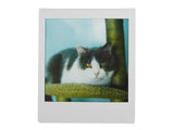 NONS H1P Instant Back-H1P - Juego de cámara para Hasselblad (Instax Square) con Viewfinder Frame Space