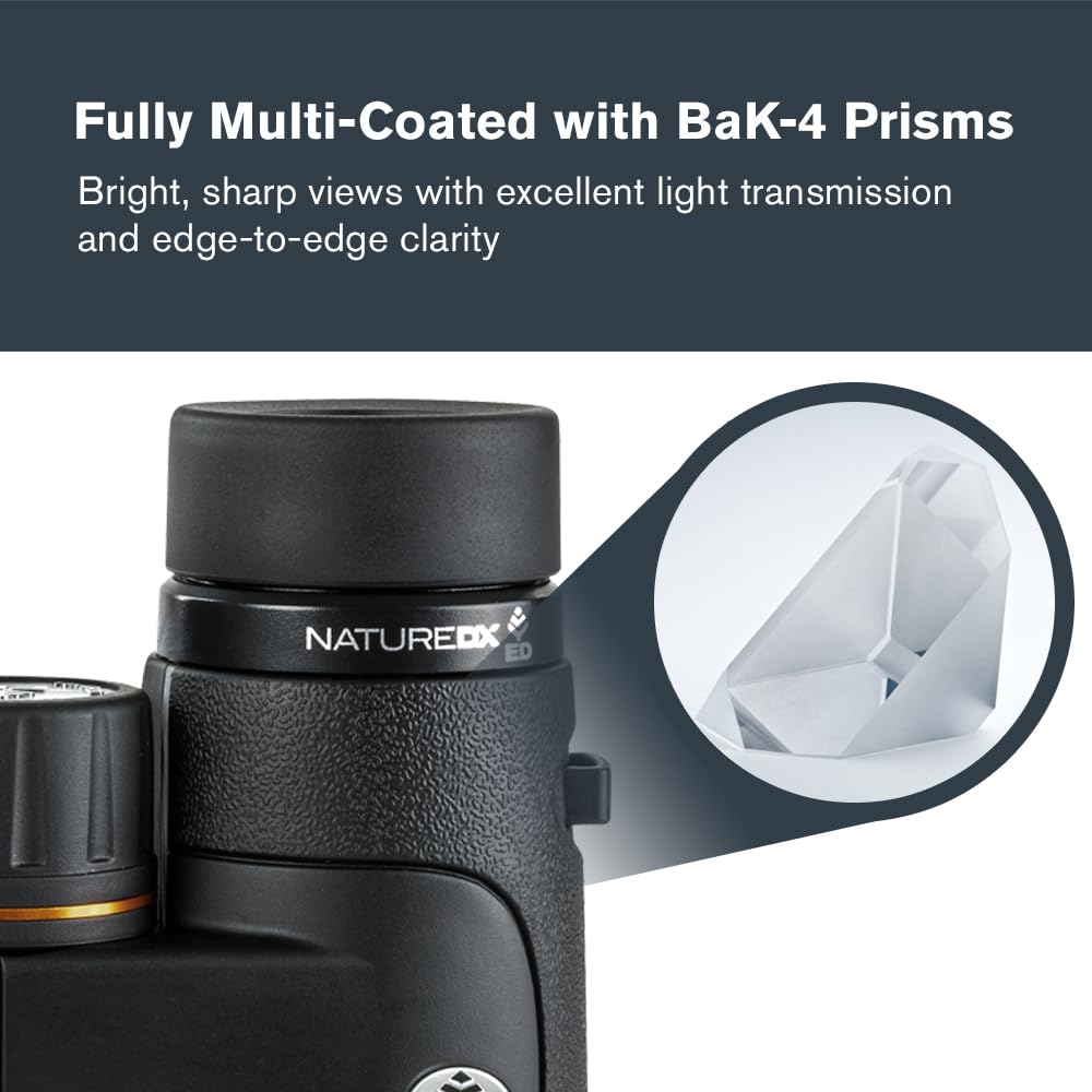 Celestron 72332 Nature DX ED 8x42: prismáticos para aves y exteriores, lentes objetivo con dispersión baja, revestimiento múltiple completo y prismas BaK-4, carcasa revestida resistente al agua y vaho