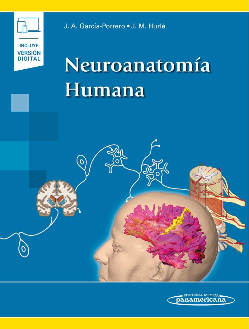 Neuroanatomia humana (incluye version digital) (incluye versión digital)