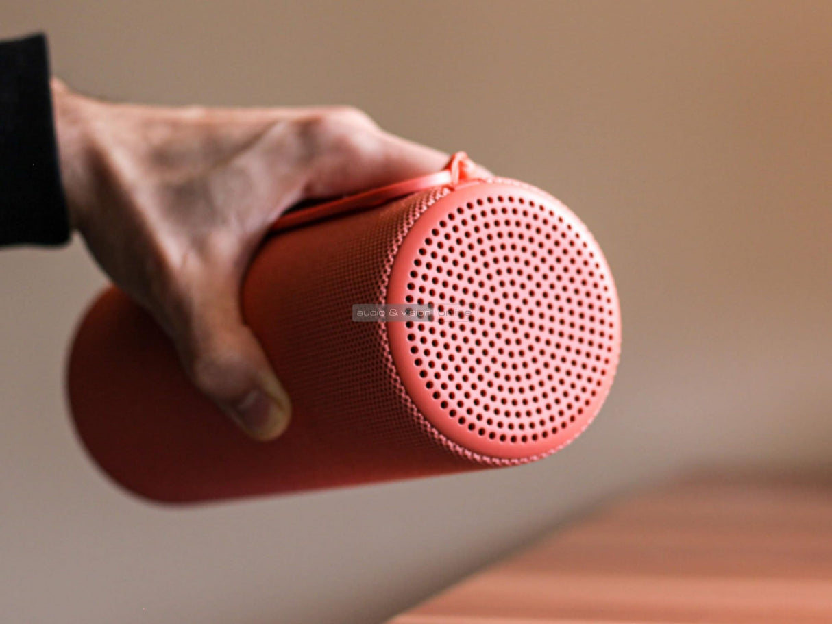 LOEWE We. by Hear 1 Altavoz inalámbrico Bluetooth portátil, Interior/Exterior, Bluetooth V5.0, Salida de Audio de 40 W, clasificación IPX6, Tiempo de reproducción de 12 h-14 Horas, Tiempo de Carga de