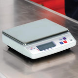 LOUIS TELLIER - Balanza Electrónica Profesional - 5kg - IP53 - Precisión 0,5 g - Bandeja Extraíble de Acero Inoxidable - Cocina - Panadería - 22 x 16,5 cm