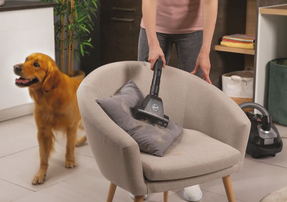 Hoover HE320PET 011 Aspirador Trineo, plástico, Negro/Gris