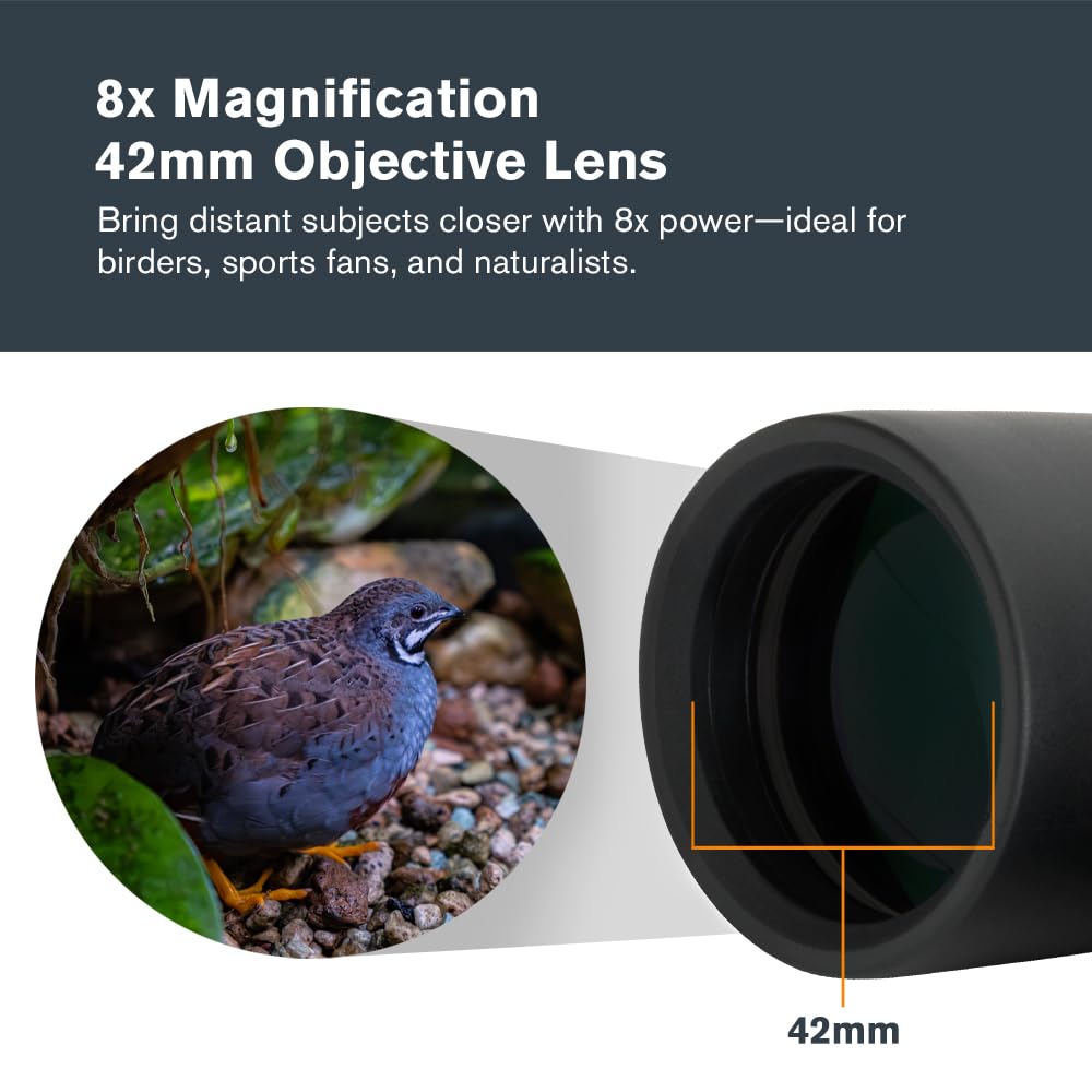Celestron 71346 8 x 42 Outland X: prismáticos, negro