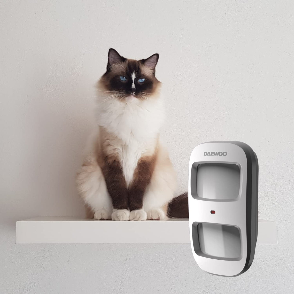 Daewoo Security SA668AM - Alarma doméstica inalámbrica WiFi/gsm conectada, Control Remoto, Sirena, 4 cámaras, Paneles solares, Compatible con Amazon Alexa, Google Home