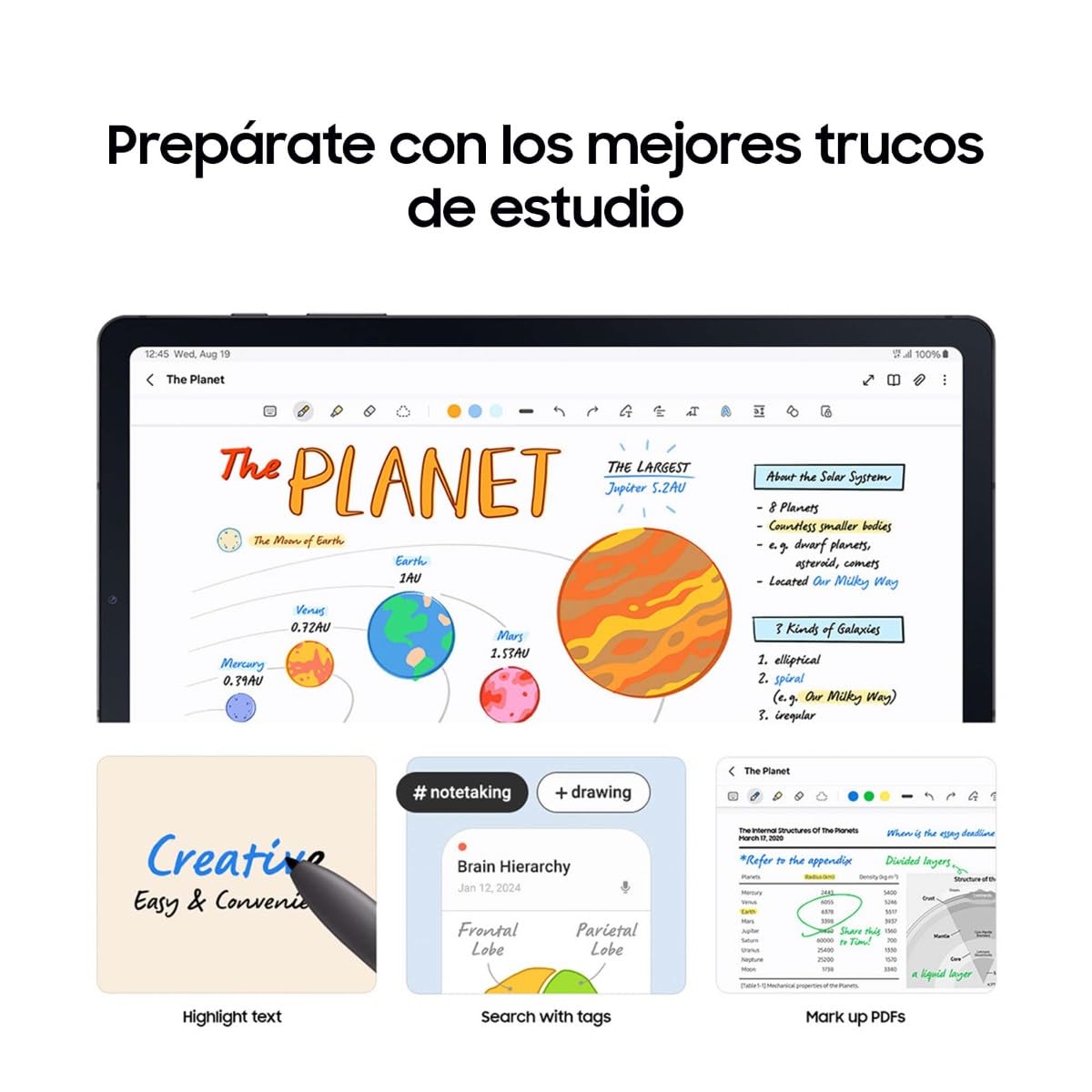 Samsung Galaxy Tab S6 Lite (2024), 128 GB, Tablet de 10.4”, Procesador Exynos 1280, 4 GB RAM, Wifi, Android 14, Gris - Versión española