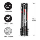 MANFROTTO Trépied Befree Carbone MKBFRTC4GT-BH Avec rotule Ball
