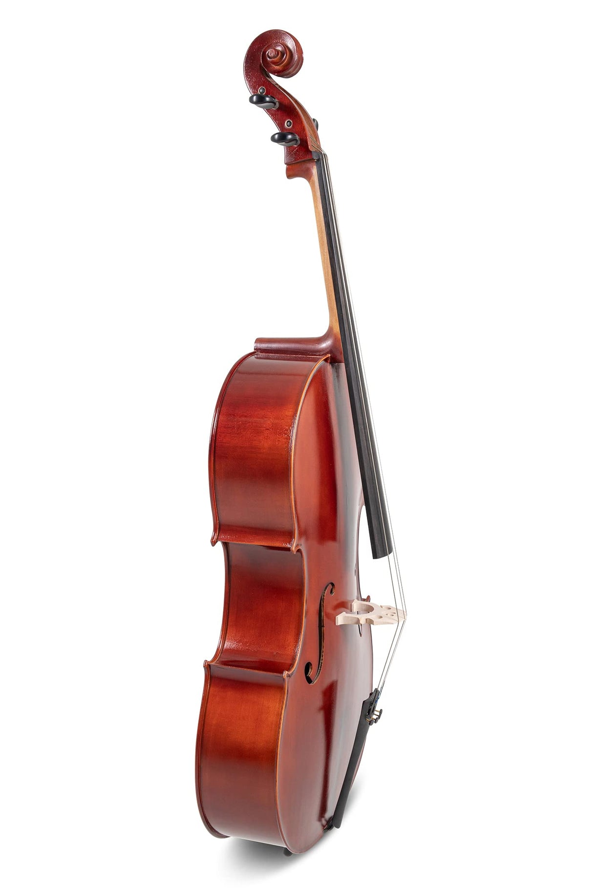 PURE GEWA Set violonchelo ébano 1/2 con funda y arco