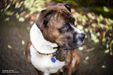 Lensbaby - Lente Twist 60 - Bokeh Angular y viñeteado Sutil - para sensores 35mm Formato Completo, APS-C y 4/3
