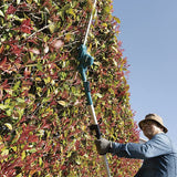 Cortasetos de Altura 18V LXT 46cm 3,0Ah 1 Bat Marca Makita